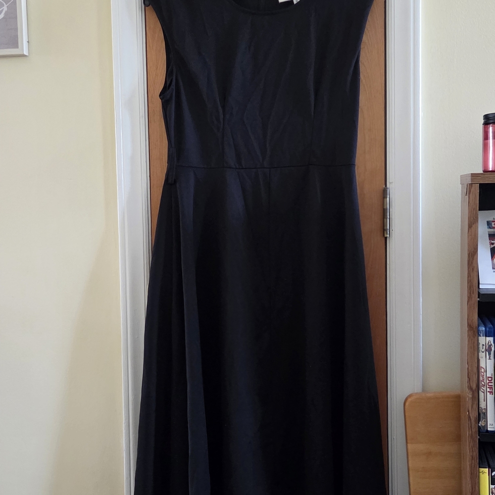 Elegant Black Sleeveless Dress